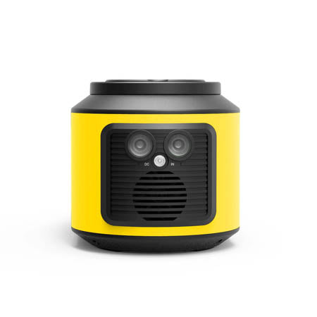 RS420 Portable Generator