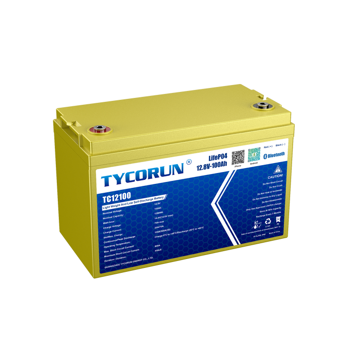 12.8V 100Ah Battery Sealed Lithium Battery - Bluetooth
